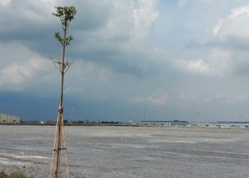 THANH LIEM INDUSTRIAL PARK, HA NAM PROVINCE – SPEEDING UP CONSTRUCTION OF INFRASTRUCTURE TO RECEIVE INVESTMENT WAVES